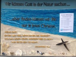 2017_9_20220502_1100037809