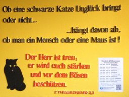 2019_9_20220502_2014868288