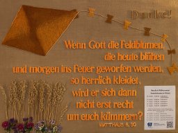 2021_10_20220502_1040088066